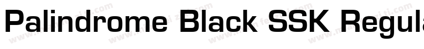 Palindrome Black SSK Regular字体转换